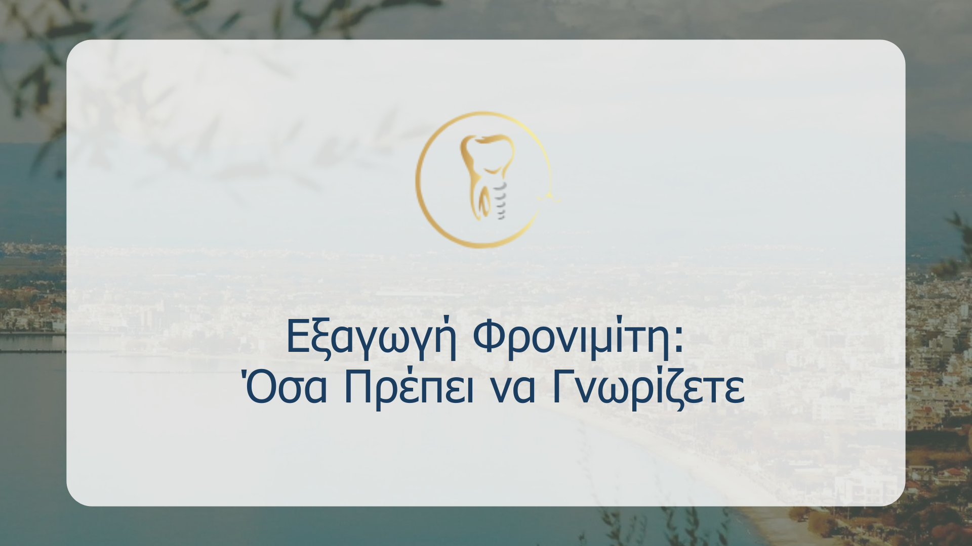 Εξαγωγή Φρονιμίτη: Όσα Πρέπει να Γνωρίζετε